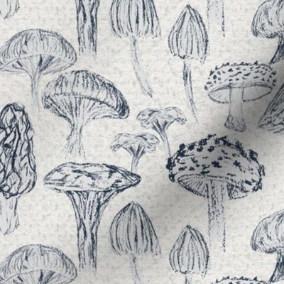 Field of wild mushrooms in dark blue pencil on off white and light green texture
