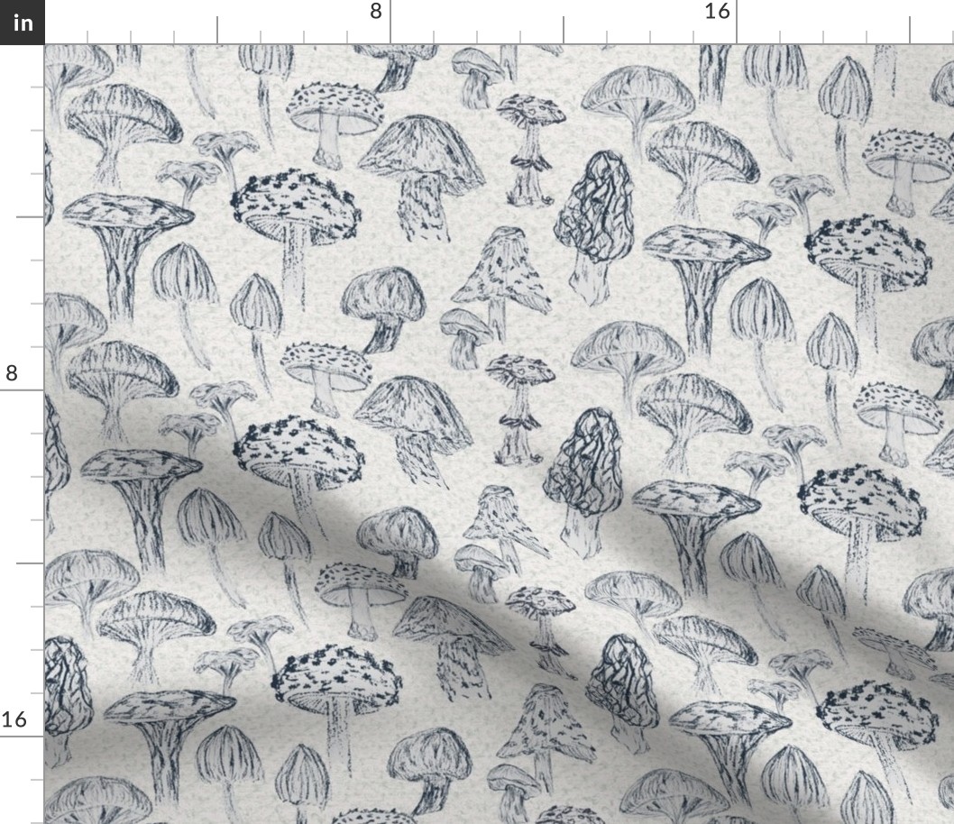 Field of wild mushrooms in dark blue pencil on off white and light green texture