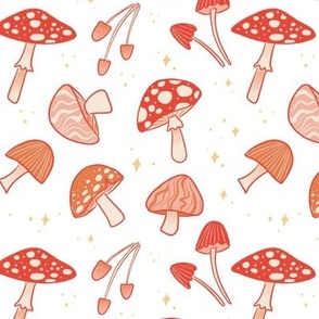 Mushrooms - Small Scale