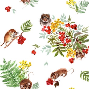 Forest mice playing with berries