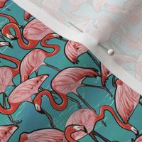 Flamingo Flock Teal