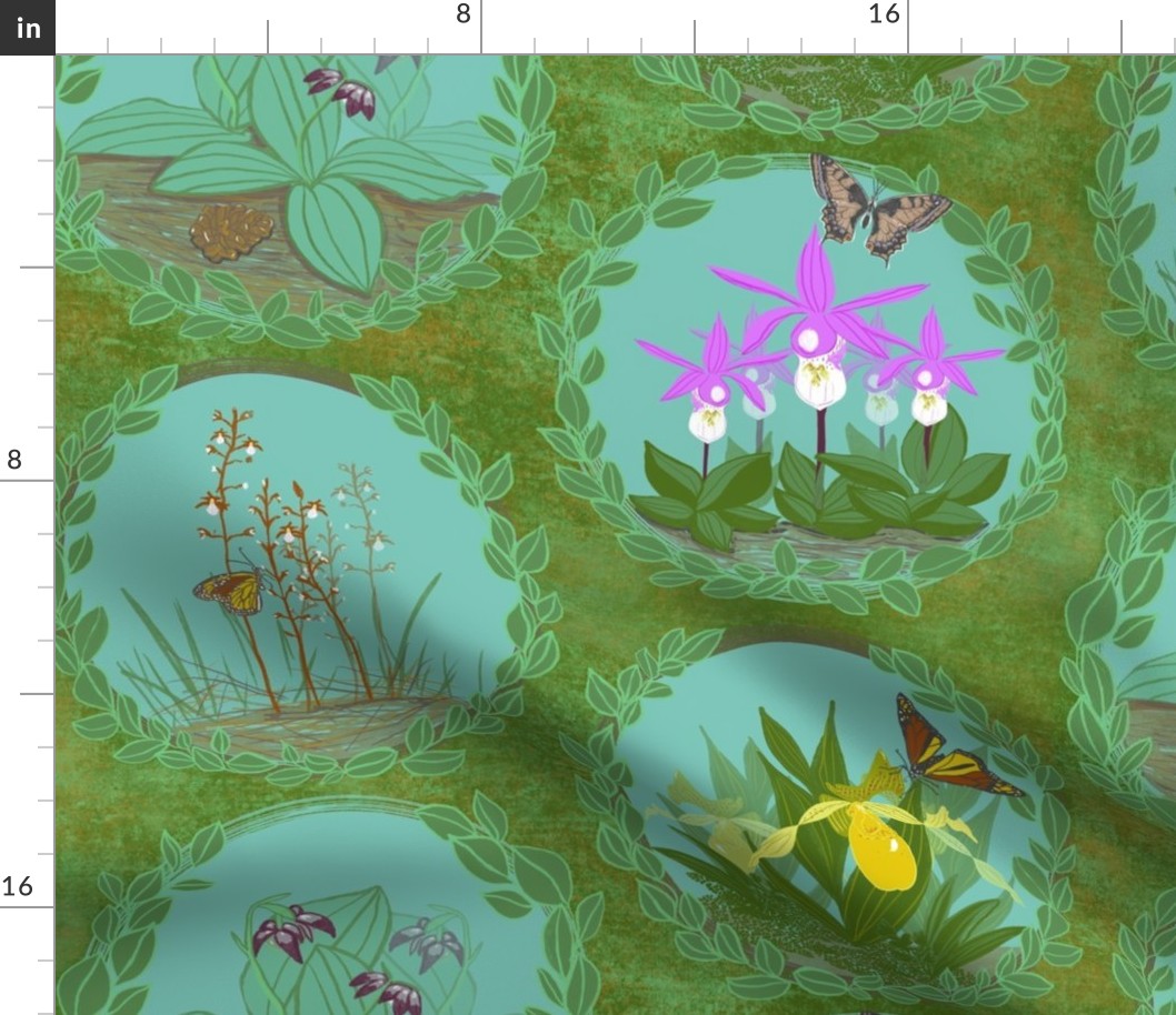 Terrestrial Orchid Forest Biome