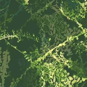 Forest Biome Abstract Texture