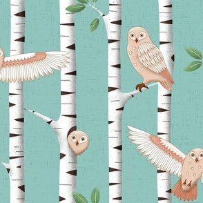 (L) Good morning owl - birch forest on a Spring morning