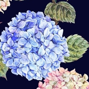  blue and white hydrangea, watercolor botanica on black