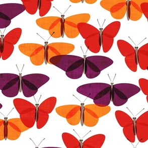 Butterflies in Red Purple Gold on White
