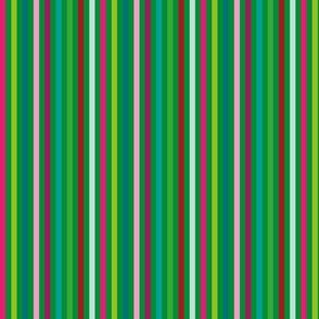 Haberdasher's Heaven - Colourful Stripe