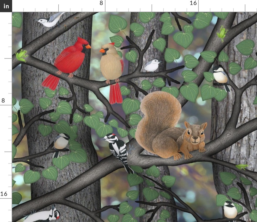 forest with birds and squirrels