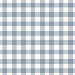 Blue Gray and Light Ivory Gingham