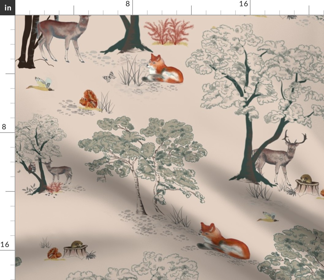 Forest and animals