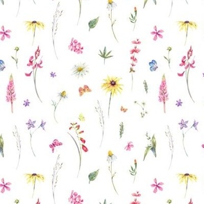 Watercolor botanical wildflowers on white