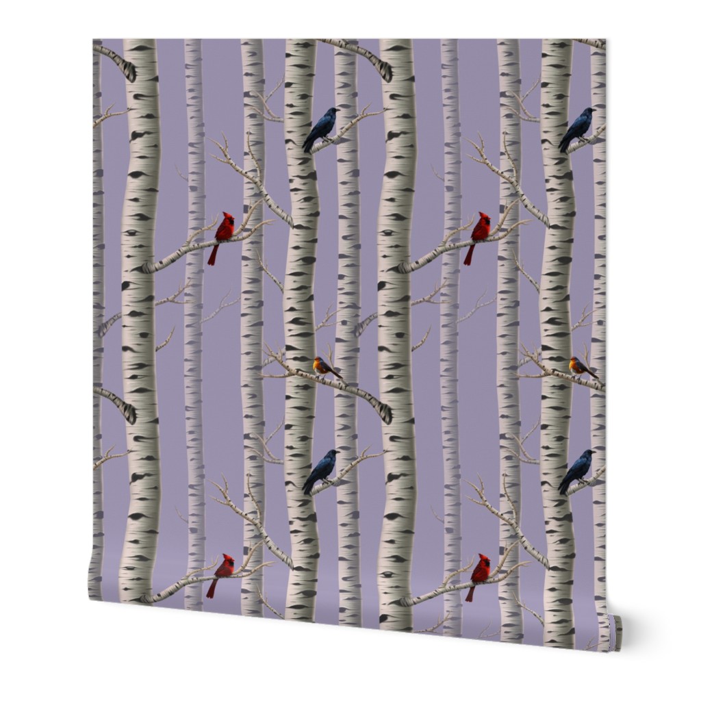 Birch Tree Forest with  Birds