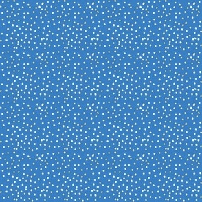 Charleston-polka-in-ocean-blue 2
