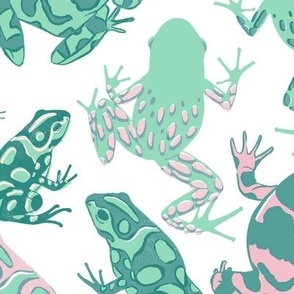 Fun Frogs in Pink and Green - Hand Drawn Style - Large