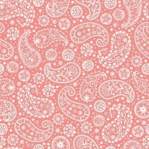 Hand drawn doodle Paisley pink pattern