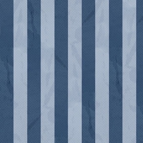 Dust Blue Circus Stripe in LARGE