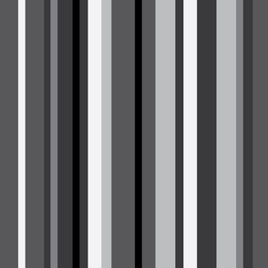 Gray varied stripe