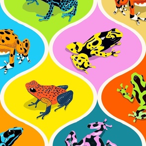 Poison Dart Frogs on Bright Tiles 24x24