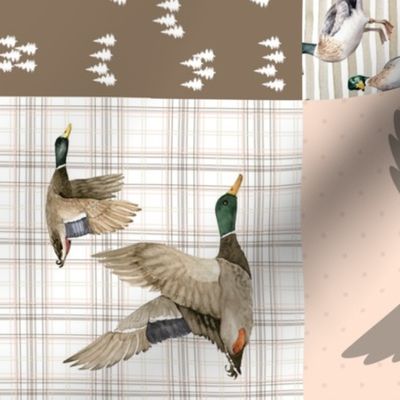 Mallard Duck Blush Patchwork - Rotated