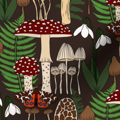 Forest biome challenge - Mushrooms, Ferns and a Tiger Moth