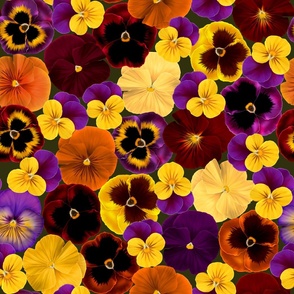 Pretty Pansies Fall Pansies with Olive Background