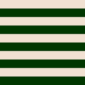Horizontal Stripes in Beige & Green