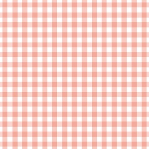 Peach Pink Abstract Gingham Check Square Grid Coordinate