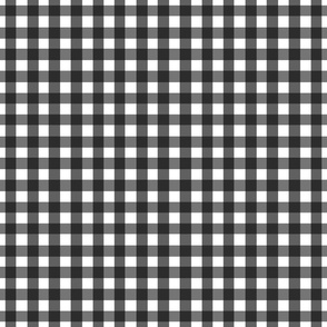 Black and White Abstract Gingham Check Square Grid Coordinate