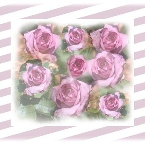 Lavender Rose Squares on Stripes