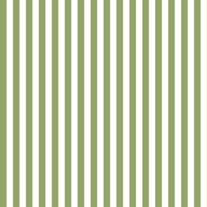 Candy Stripes olive and white - tiny scale