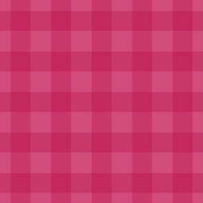 simple plaid pattern raspberry monochrome