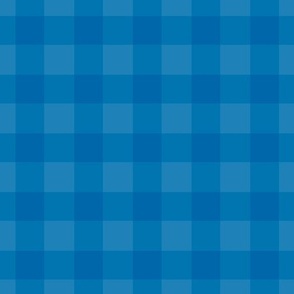 plain blue checkered pattern kitchen decor