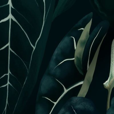 Dark anthurium jungle