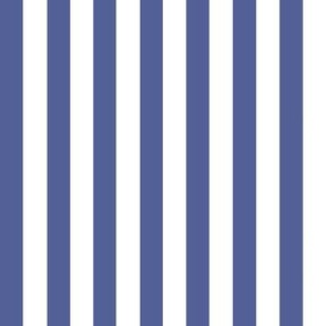 Blue Hue Classic Thick Stripes ( Organic Pressed Floral Collection)