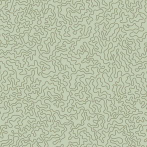 Forest Biome - Vermicular Lines - Whimsical Woodland - Light Green BG