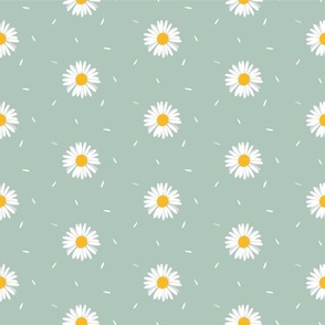 Scattered daisies