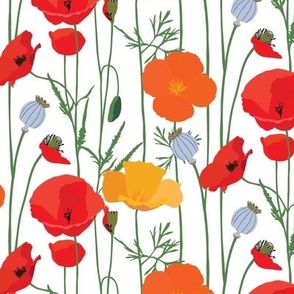 Red Yellow Orange Poppies