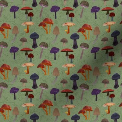 Mushrooms_Green_Background_