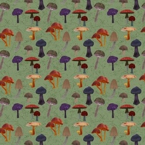Mushrooms_Green_Background_