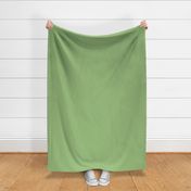 Fall Tango green dark plain