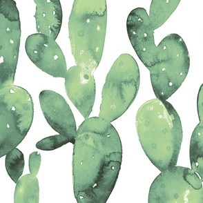 Watercolor green cactus opuntia (large size)