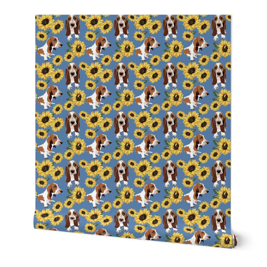 Basset Hound dog and  Yellow Sunflowers with a blue background