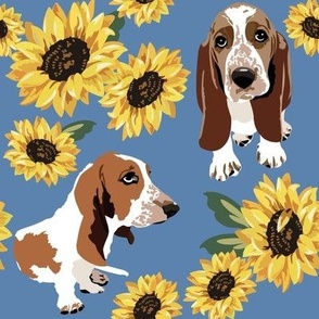 Basset Hound dog and  Yellow Sunflowers with a blue background