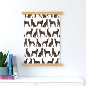 Doberman Dogs on White, Sit & Stand