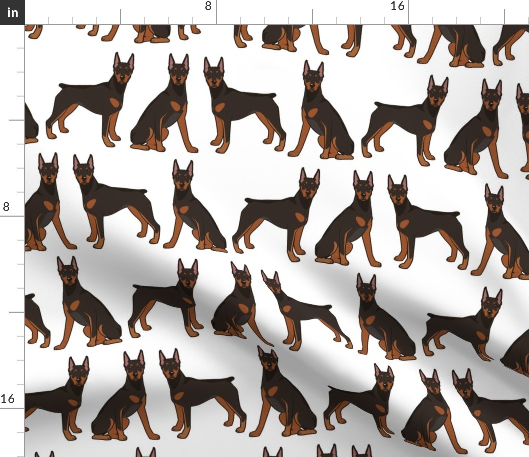Doberman Dogs on White, Sit & Stand