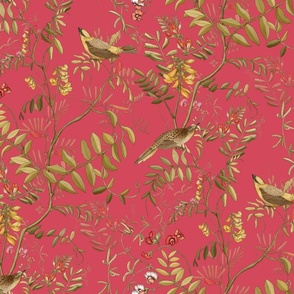 Daylight - acacia branches and birds on pink background