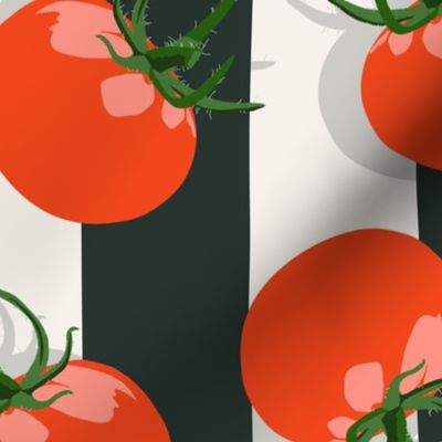 Little Tomato | XLg on Black & White Stripes