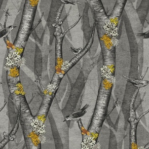 Lichen, Trees, Birds and Moths in Yellow, Orange & Gray