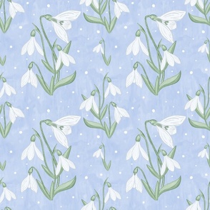 White Snowdrop flowers on soft blue - small