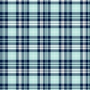 (small scale) fall plaid (blue, navy, white) || the bear creek collection C24